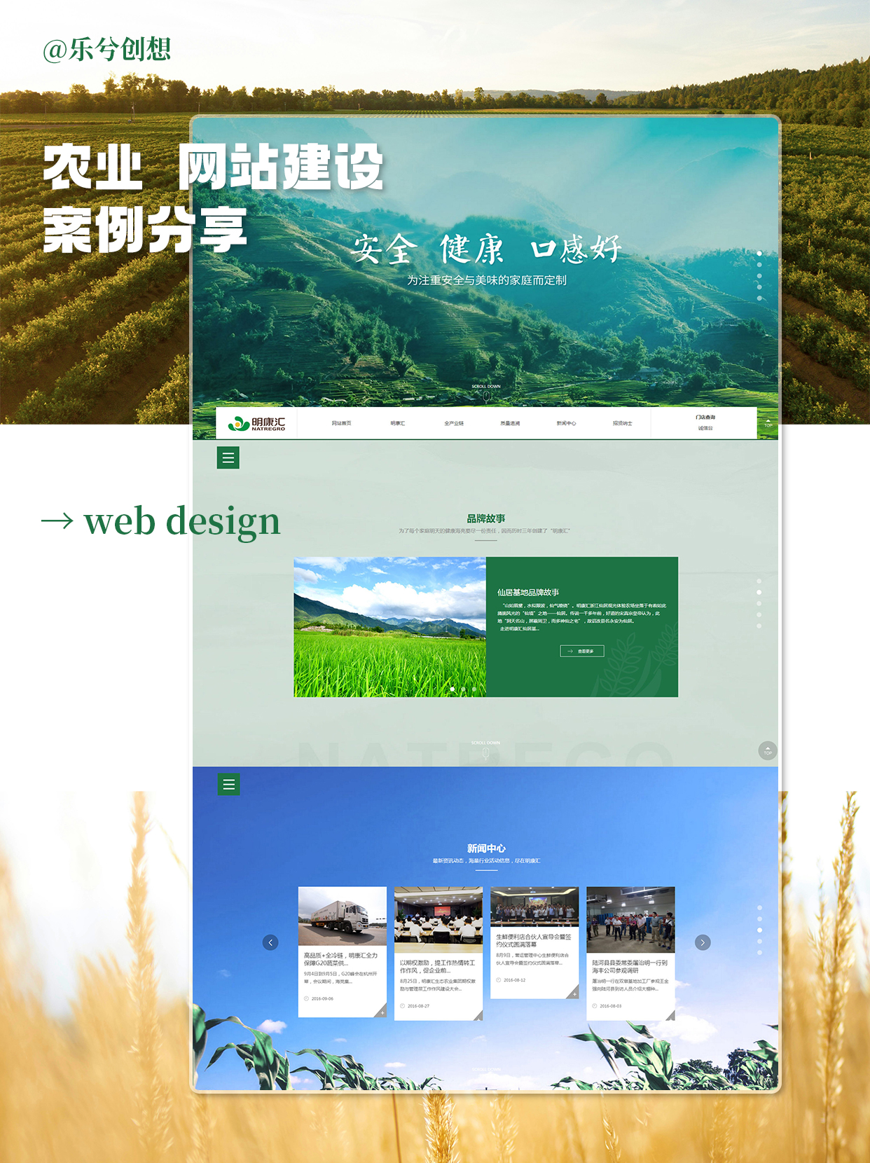 农业网站建设指南：打造高效农业品牌与信息化平台