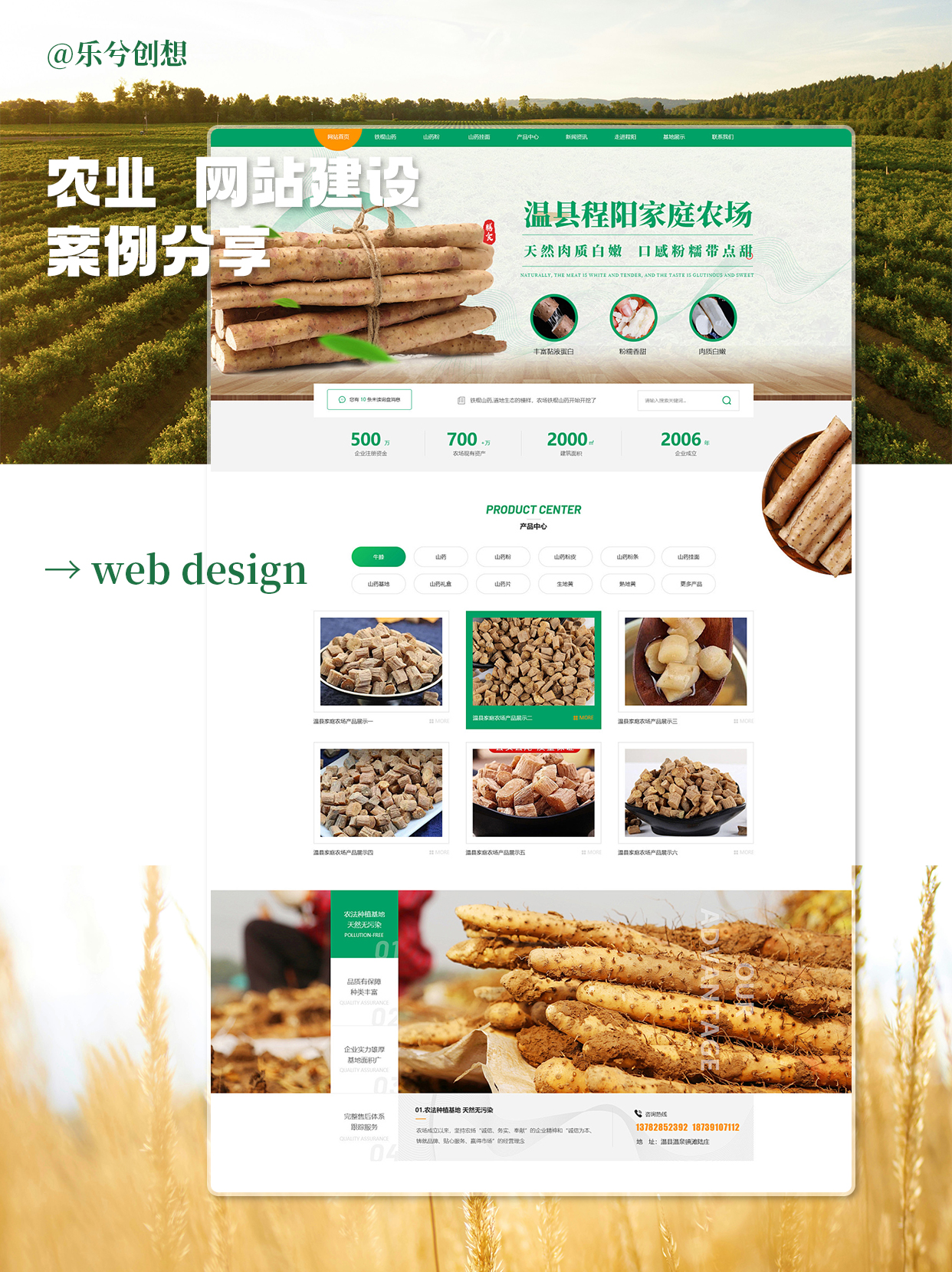 农业品牌网站的用户体验设计原则